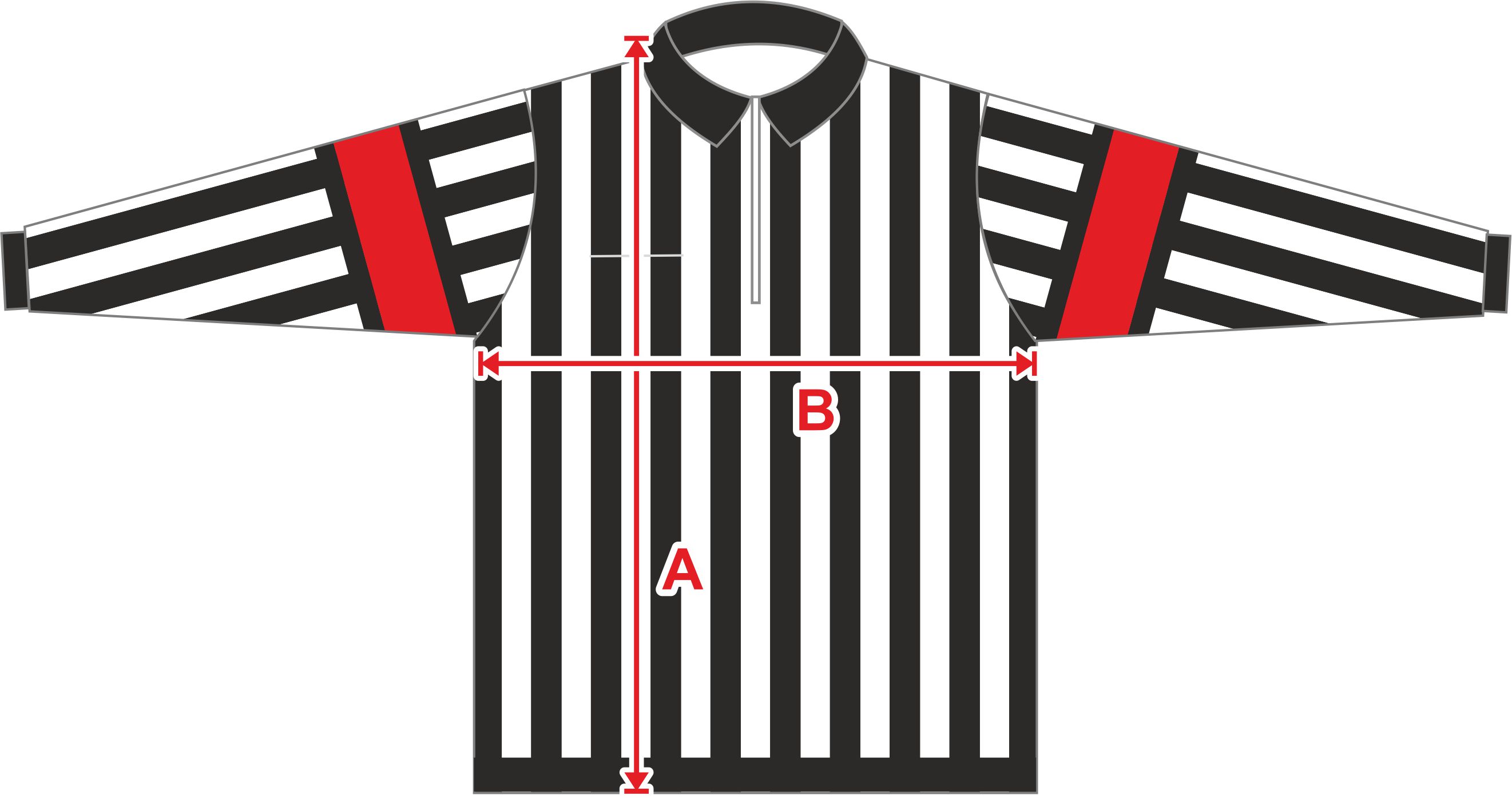 Maillot Arbitre 08-2010.jpg